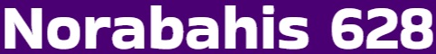 Norabahis628 Logo