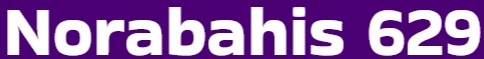 Norabahis629 Logo