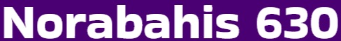 Norabahis630 Logo
